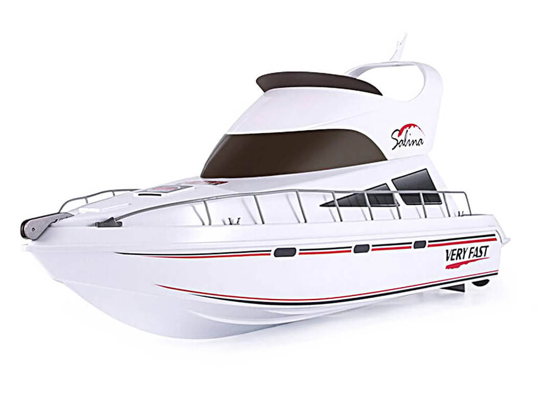 Heng Long Salina HL3867