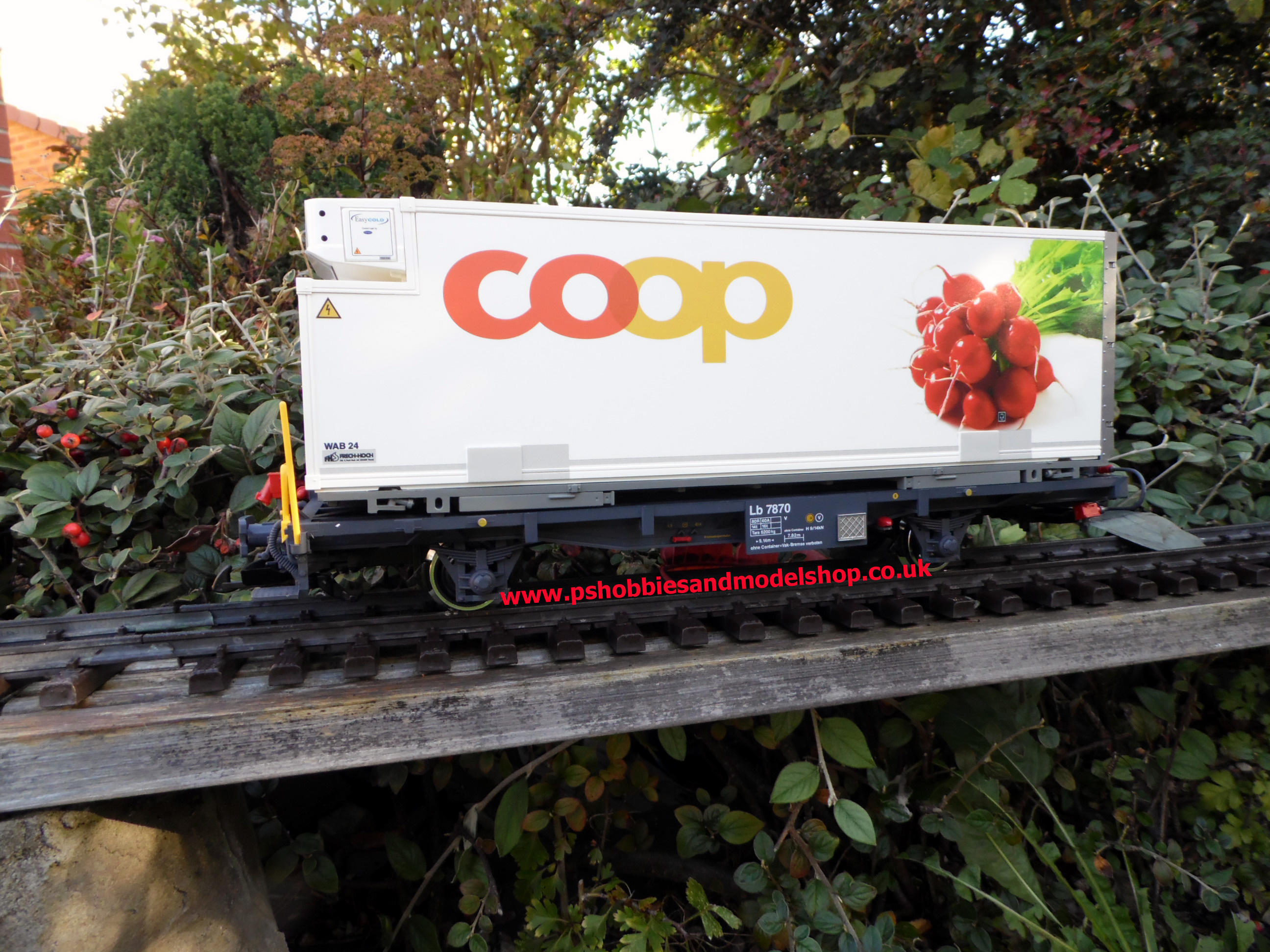 LGB 45889 Coop Fridge Pair Radish & Pears