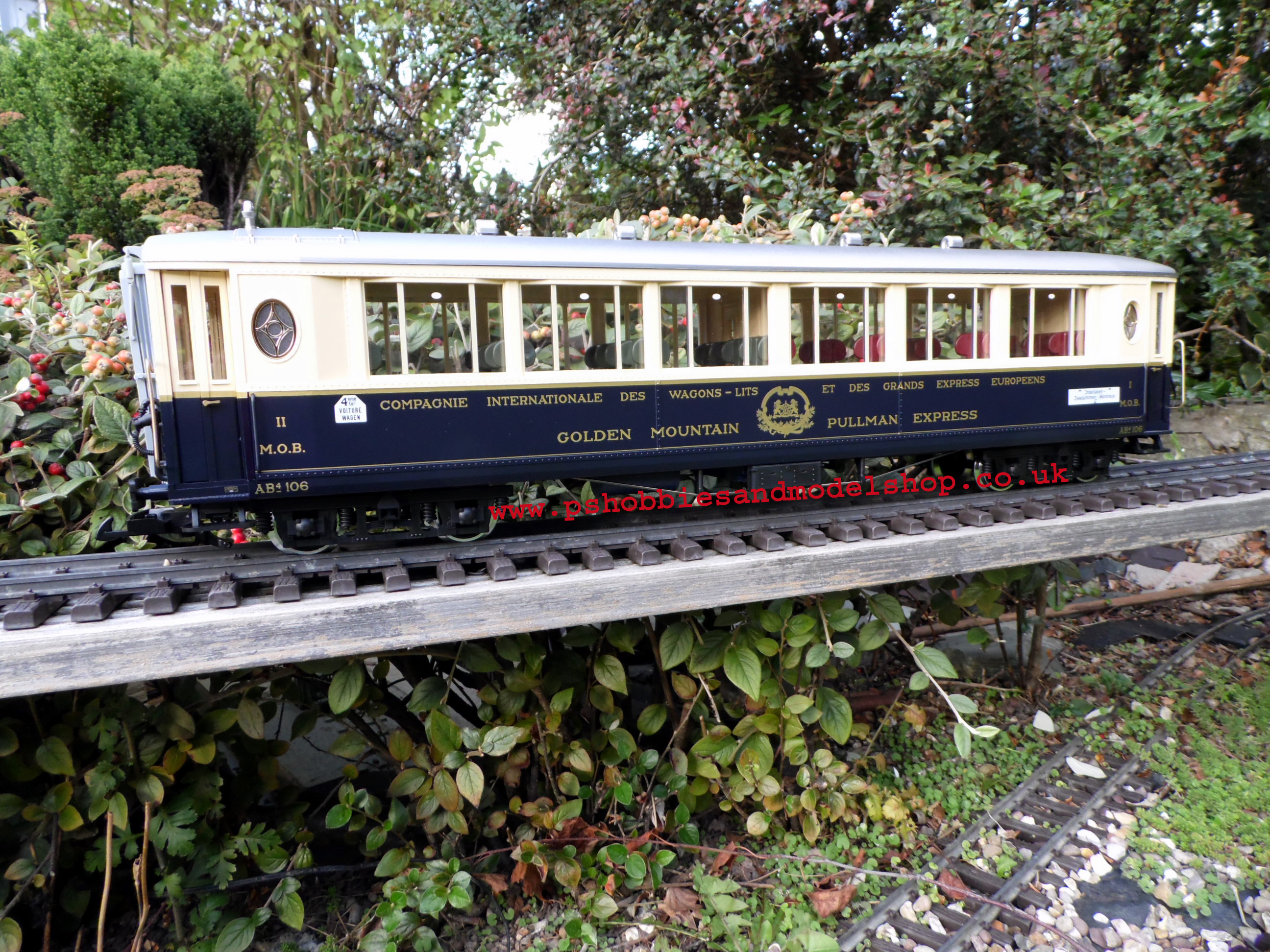 LGB 36661 Golden Mountain Twin Car set 2